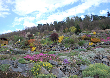 Arboretum Paseka Makču Pikču