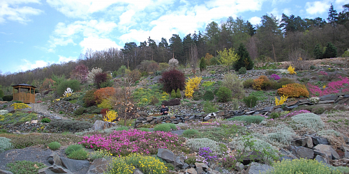 Arboretum Paseka Makču Pikču