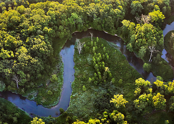 Litovelské Pomoraví Protected Landscape Area