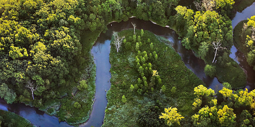 Litovelské Pomoraví Protected Landscape Area