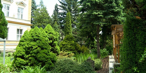 Arboretum Střední lesnické školy v Hranicích