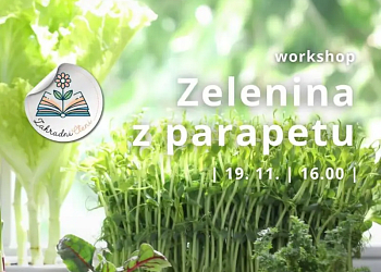 Zelenina z parapetu