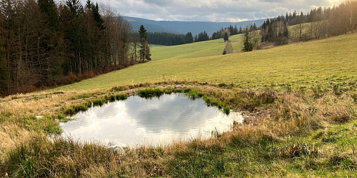 Wildwasser - Grenzen