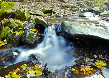 Park Przyrody Údolí Bystřice