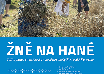 Žně na Hané