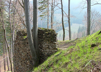 Zřícenina hradu Edelštejn