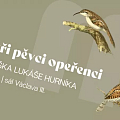 Mistři pěvci opeřenci | přednáška Lukáše Hurníka