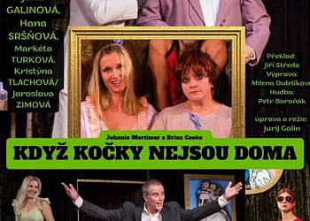 Když kočky nejsou doma
