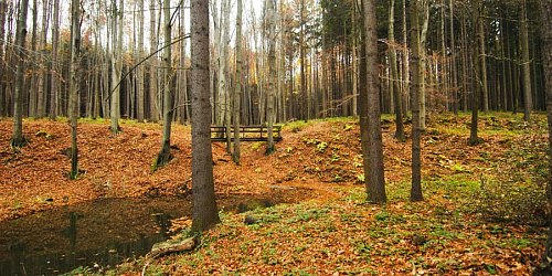 Leśna ścieżka poznawcza Valšovice