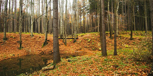 Naučná stezka Valšovice