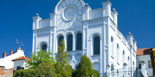 Výstavní síň Synagoga