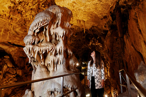 Javoříčští netopýři se probudí 28. března, mladečští letouni 5. dubna