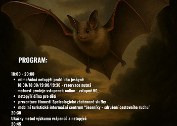 Mezinárodní noc pro netopýry v jeskyni Na Špičáku