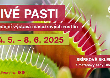 Živé pasti