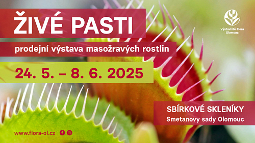 Živé pasti