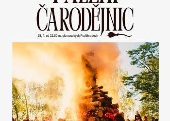 Pálení čarodejnic