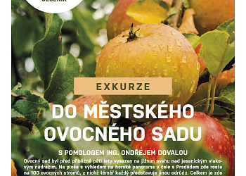 Exkurze do ovocného sad Jeseník