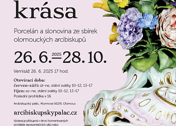 Křehká krása