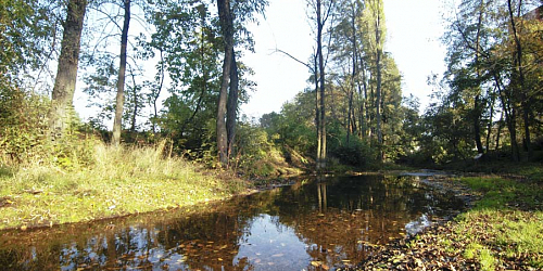 Ścieżka poznawcza biokorydorem Hloučela