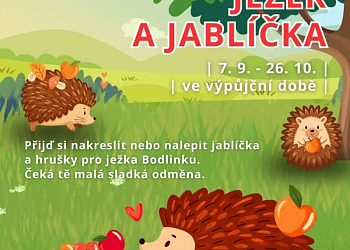 Ježek a jablíčka