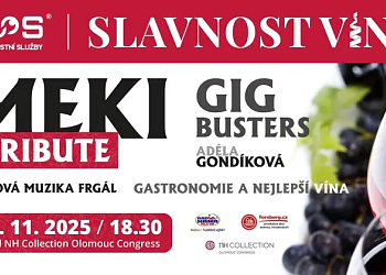 Slavnosti vína 2025