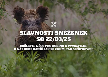 Slavnosti sněženek v Twinbergu