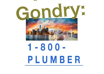 Paul Gondry: 1-800 PLUMBER