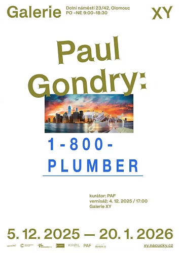 Paul Gondry: 1-800 PLUMBER