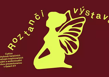 Roztanči výstavu