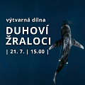 Duhoví žraloci