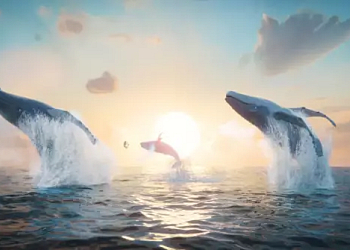 Velrybí píseň (odměna za vysvědčení)