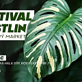 Festival Rostlin
