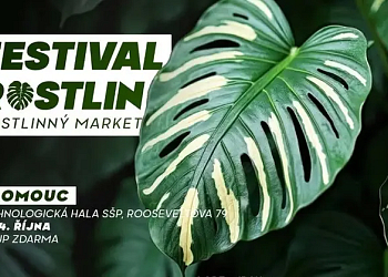 Festival Rostlin