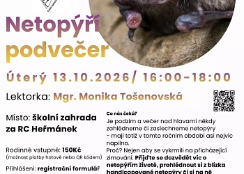 Netopýří podvečer