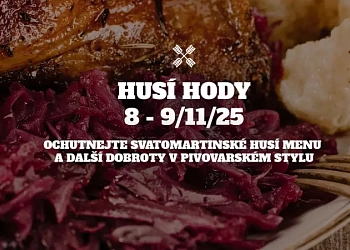 Husí hody v pivovaru