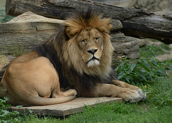 Zoo Olomouc