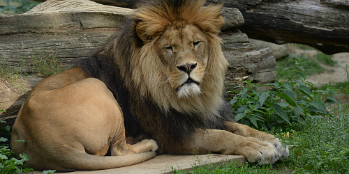 Zoo Olomouc