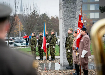 Den boje za svobodu a demokracii