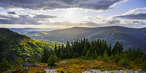 Protected Landscape Area Jeseníky