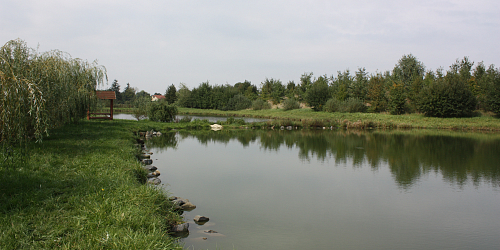 Tvorovický rybník