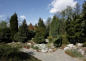 Botanical garden with rosarium