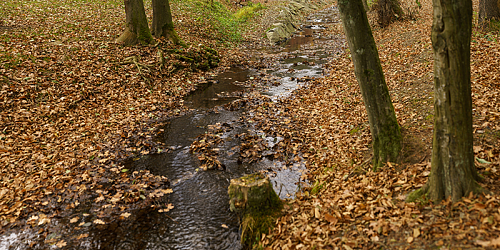 Ochozská kyselka