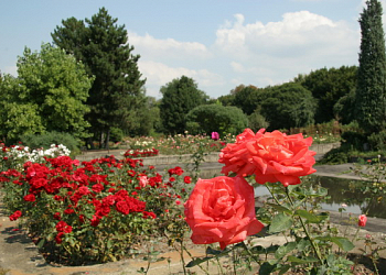 Botanická zahrada s rozáriem