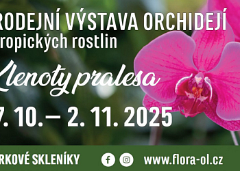 Klenoty pralesa 2025