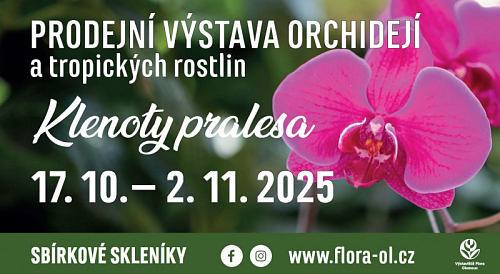 Klenoty pralesa 2025