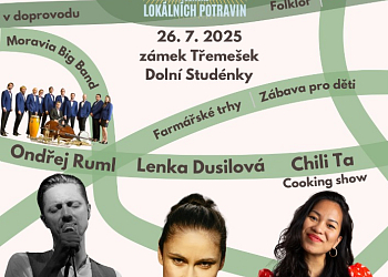 VIDLE VIDLIČKA FEST