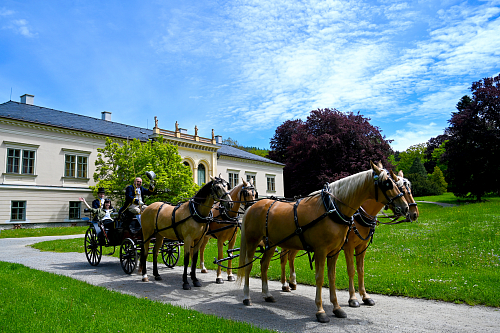 Víte, kde máte své srdce? Hlasujte pro Olomoucký kraj