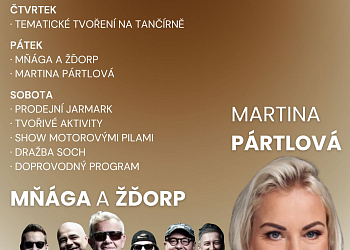 Dřevosochání