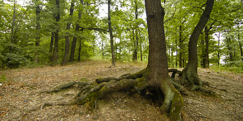 Prabába Nature Trail