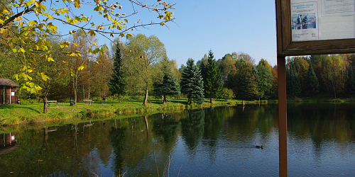 Rybník Bobrovník